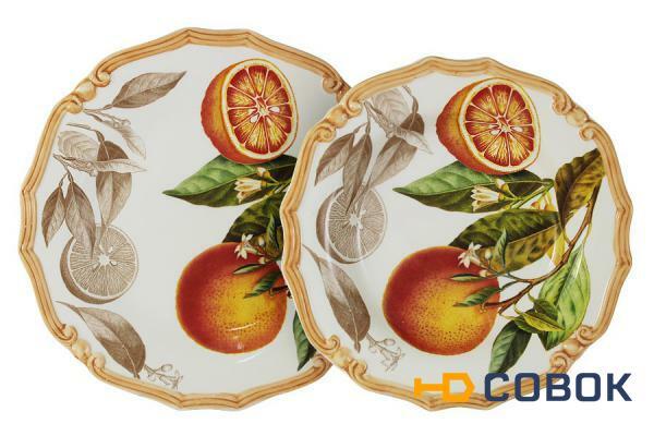 Фото Набор тарелок: суповая + обеденная Апельсины LCS ( LCS053_2-AR-AL )