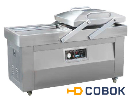 Фото Вакуумный упаковщик DZQ-500/2SD FoodAtlas Eco