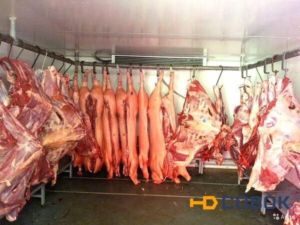 Фото Камеры для Мяса - Морозильные - Холодильные - Заморозки с Установкой и Гарантией.