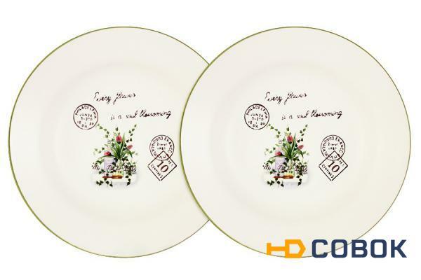 Фото Набор из 2-х суповых тарелок Букет LF Ceramic ( LF-80E2256-3-AL )