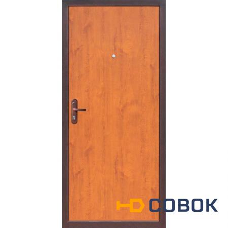Фото Входные двери PRORAB Дверь металлическая СтройГост 5 РФ Рустикальный дуб (860 L)