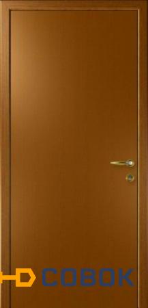 Фото Дверь влагостойкая композитная гладкая "Капель (Kapelli)" (дуб золотой) с телескопической коробкой
