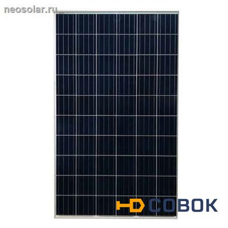 Фото Солнечная батарея JinkoSolar 265Вт