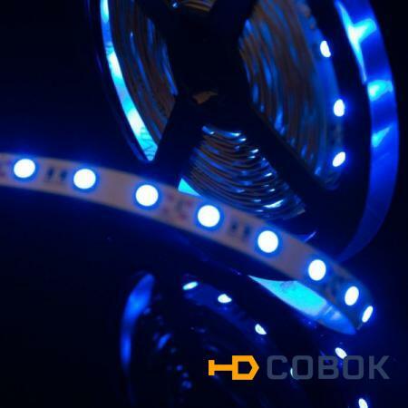 Фото Открытая светодиодная лента синего свечения 5050 300 led