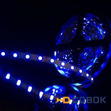 Фото Открытая светодиодная лента синего свечения 3528 300 LED