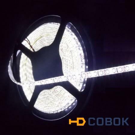 Фото Открытая светодиодная лента нейтрального белого свечения 3014 1200 LED