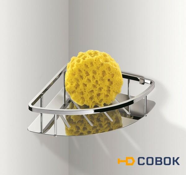 Фото Complementi