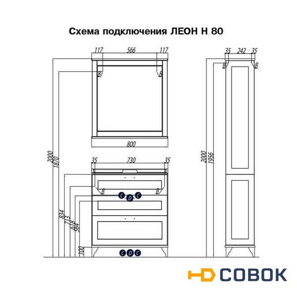 Фото Леон