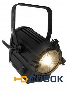 Фото Светодиодный прожектор CHAUVET-PRO Ovation F-95WW