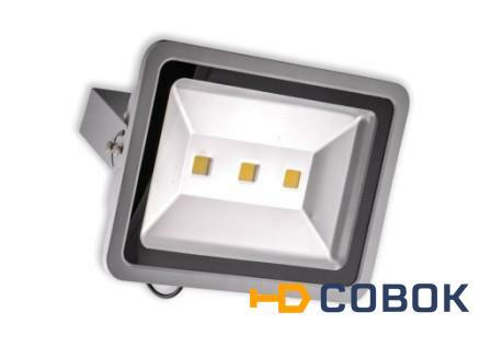 Фото Прожектор LED светодиодный СДО-2-300Вт(W)