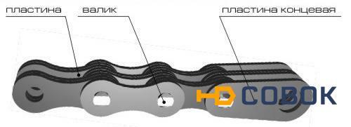 Фото Цепь П25.4-200-5-3