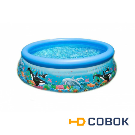 Фото Надувной бассейн Intex 28134 Ocean Reef Easy Set Pool (366х76см)