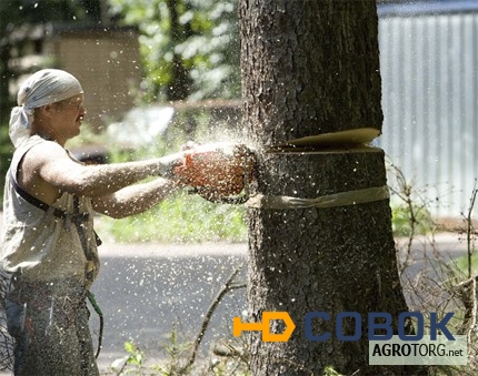 Фото Вырубка деревьев в Самаре