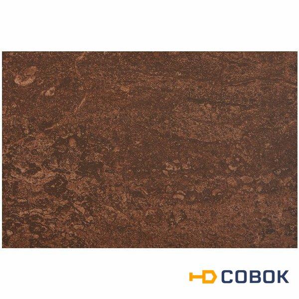 Фото Плитка настенная Селена коричневый низ 02 20х30 (1,44м2/92,16м2/64уп)