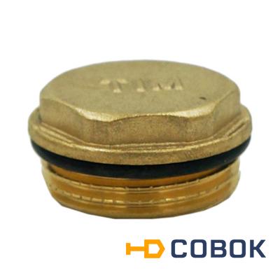 Фото Пробка с уплотнительным кольцом DT002A