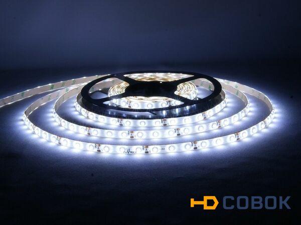 Фото Открытая светодиодная лента SMD 3528 60LED/m IP33 12V White