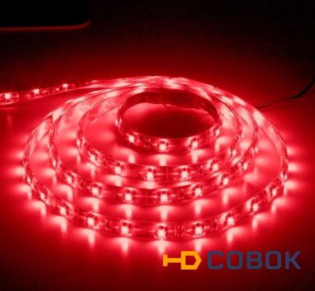 Фото Открытая светодиодная лента SMD 5050 60LED/m IP33 12V RED