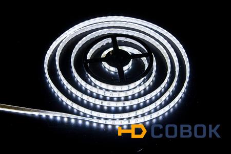 Фото Герметичная светодиодная лента SMD 5050 60LED/m IP65 12V White