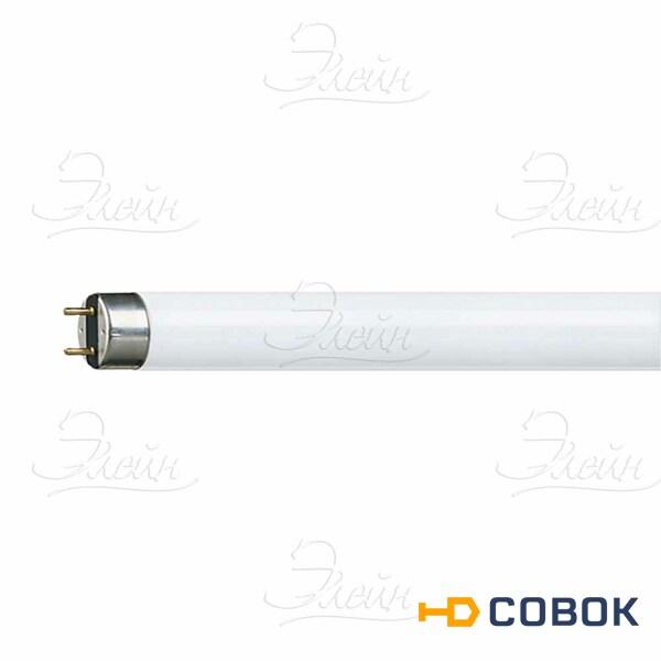 Фото Лампа люминесцентная 18Вт 765 G13 Osram