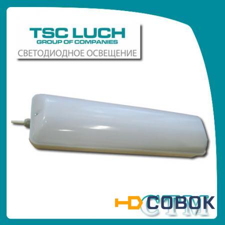 Фото Промышленный светодиодный светильник DSO5-2 CTM