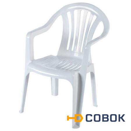 Фото Стулья и кресла для дачи PRORAB Кресло пластиковое белое