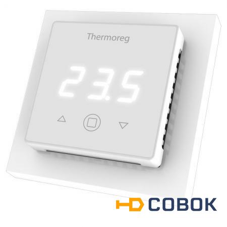 Фото Терморегулятор Thermoreg TI-300