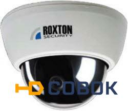 Фото Цветная купольная видеокамера ROXTON RX-D541