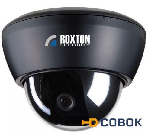 Фото Цветная купольная видеокамера ROXTON RX-D481