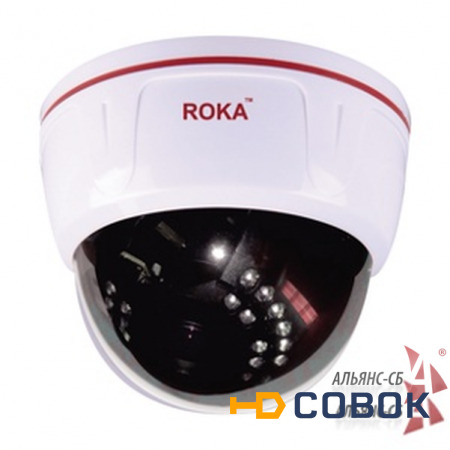 Фото Roka R-2134 4 Mp IP камера уличная в антивандальная c РоE