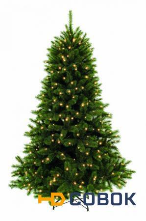 Фото Triumph Tree искусственная ель лесная красавица 260 см 480 ламп зеленая