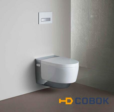 Фото GEBERIT AquaClean Mera Classic 146.204.21.1 Унитаз подвесной