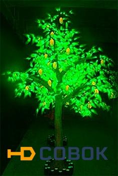 Фото Светодиодное дерево Манго M3-280x220-952LED