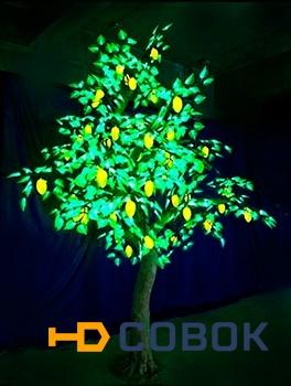 Фото Светодиодное дерево Карамбола C3-280x220-952LED
