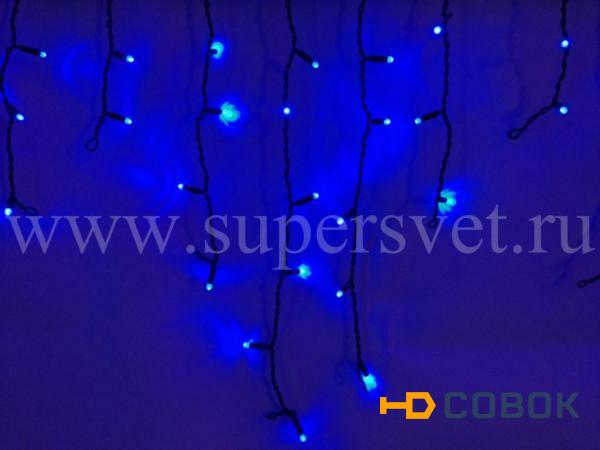 Фото Светодиодные занавеси"Бахрома" LED-RPL-80-2М-240V (синий)