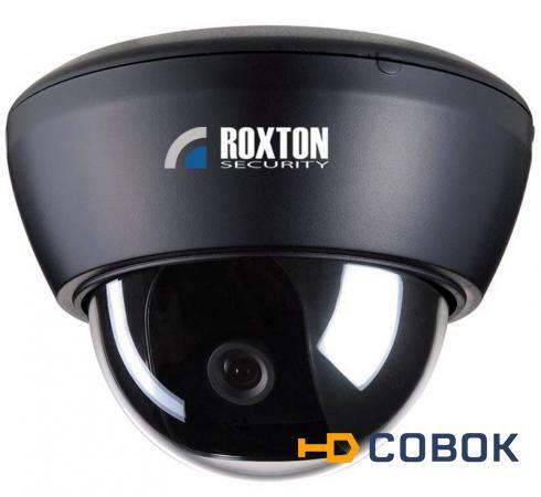 Фото Цветная купольная видеокамера ROXTON RX-D421