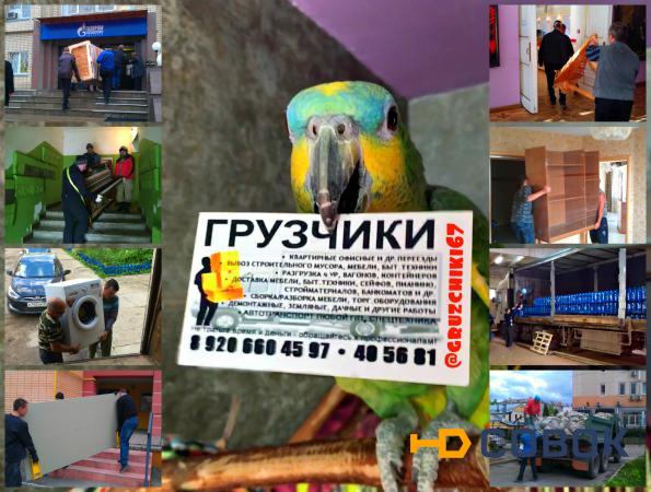 Фото Надёжные грузчики в Смоленске и области