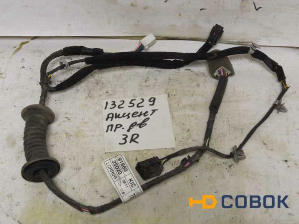 Фото Проводка двери задней правой Hyundai Accent 9186025020 (132529СВ2) Оригинальный номер 9186025020