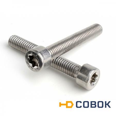 Фото Винт 8х35 DIN 912 TORX с цилиндрической головкой