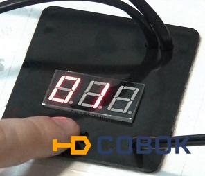 Фото Терморегулятор цифровой 220/12В с гигрометром для инкубаторов Несушка