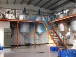 фото 1-10 тонн/сутки мини-завод по рафинации подсолнечного масла