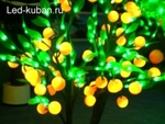 фото Светодиодные деревья