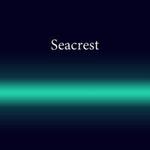 фото Трубка неоновая с люминофором Seacrest 1.52m 12 мм