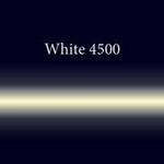 фото Трубка неоновая с люминофором 1.22 White 4500 12 мм