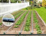 фото Капельная лента для полива растений в теплице Tuboflex длина 100 метров шаг 40 см