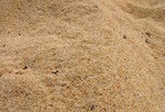 фото Песок Намывной Пышминский навалом