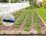 фото Капельная эмиттерная лента для полива растений в теплице КЛ 25 метров шаг 30