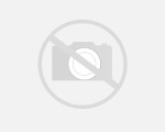 фото Урна-пепельница опрокидывающаяся двухопорная