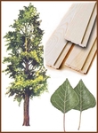 фото Вагонка деревянная из осины,сорт А ,толщ16-18мм*ш.85мм*дл.1,5-2,5м.