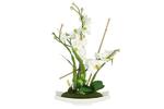 фото Декоративные цветы Орхидея белая на керамической подставке Dream Garden ( DG-15025-AL )