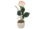 фото Декоративные цветы Роза св.розовая в керам.вазе - DG-PF7108-LP Dream Garden